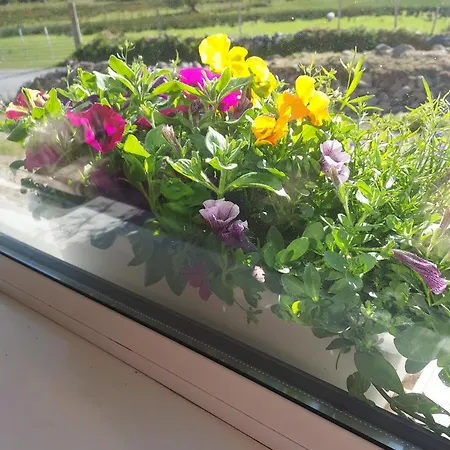 Purple Mountain Villa *