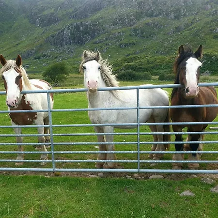Purple Mountain Killarney