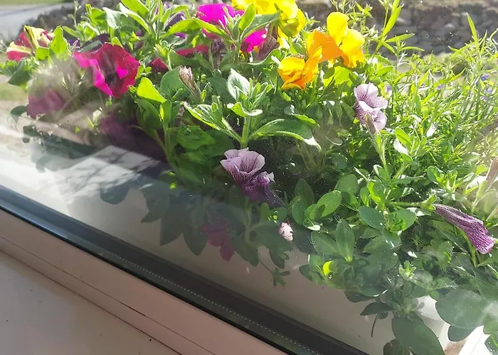 Purple Mountain 빌라 *