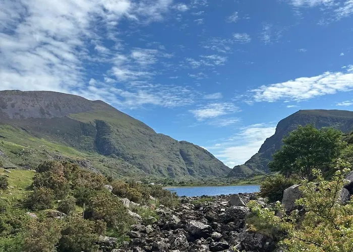 Purple Mountain 빌라